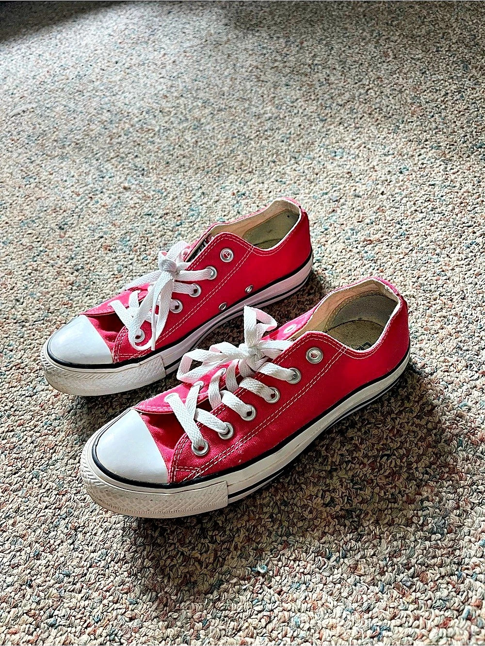 Converse Chuck Taylor All Star Low Top Pink & White Sneakers